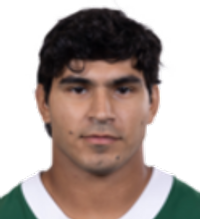 playerHeadshot