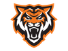 playerHeadshot