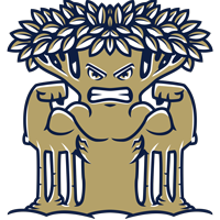 New College of Florida Mighty Banyans