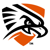 Texas of the Permian Basin Falcons