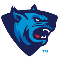 Rust College Bearcats