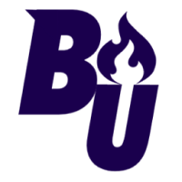 Bethesda Lion Angels