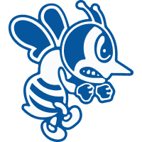 St. Ambrose Fighting Bees
