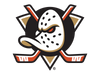 playerHeadshot
